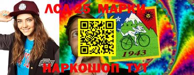 амф Гатчина