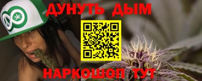 амф Гатчина