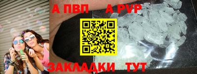 дмт Гай