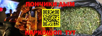 дмт Гай