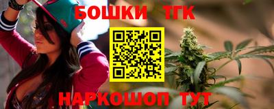 амф Гатчина