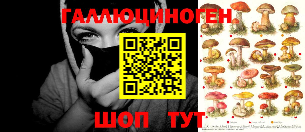 Галлюциногенные грибы прущие грибы Малгобек